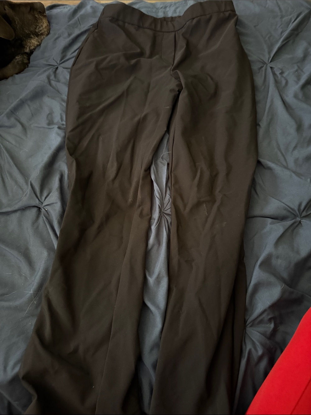 Woman’s Black Dress Pants - Classic Straight Fit